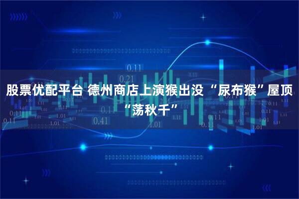 股票优配平台 德州商店上演猴出没 “尿布猴”屋顶“荡秋千”