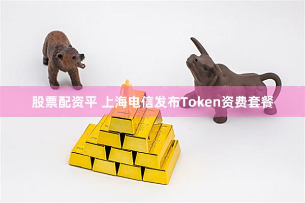 股票配资平 上海电信发布Token资费套餐